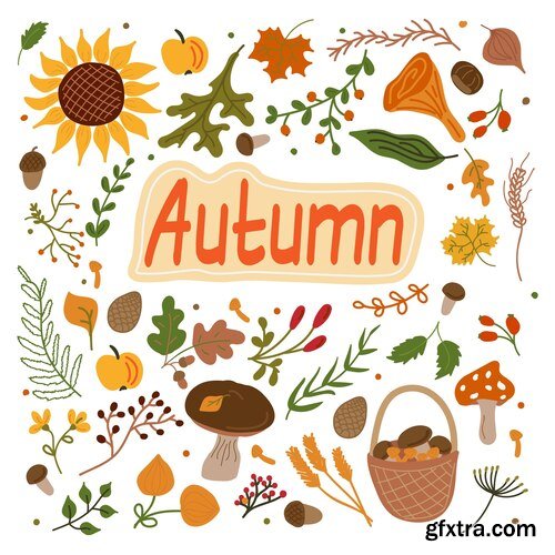 A set of handdrawn flat autumn elements