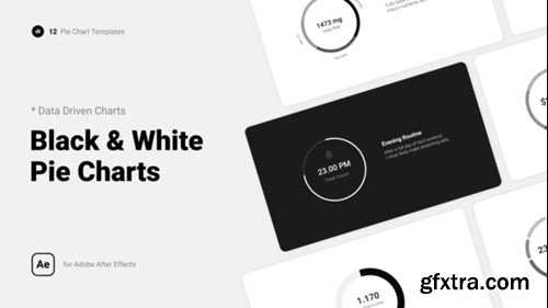 Videohive Black & White Pie Charts 39852807