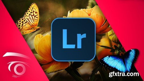 Adobe Lightroom Classic CC: Master the Develop Module