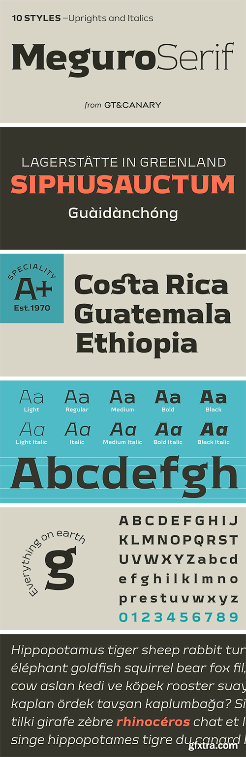 Meguro Serif Font Family