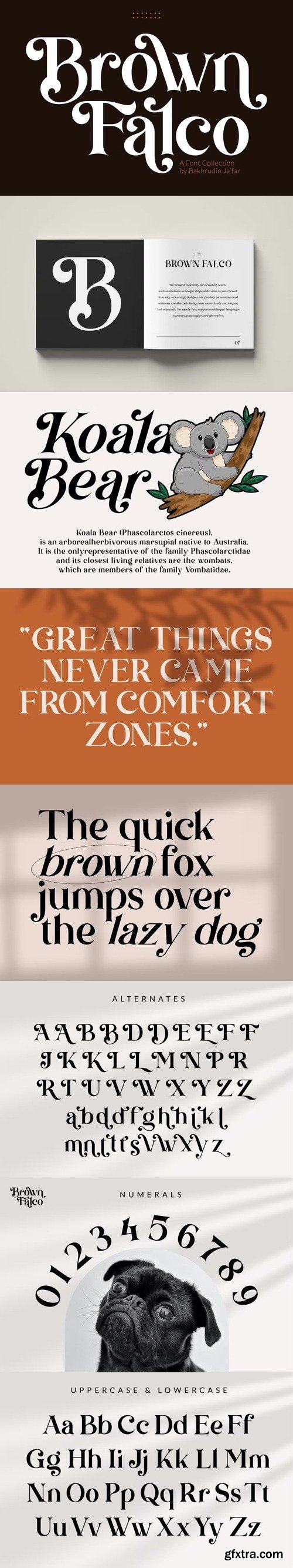 Brown Falco | Classy Serif Font