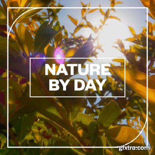 Blastwave FX Nature by Day WAV-FANTASTiC