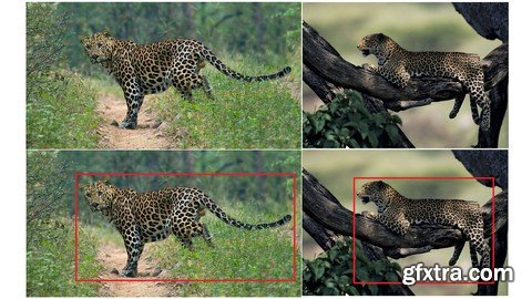 Object Detection on Custom Dataset With Keras Using Python