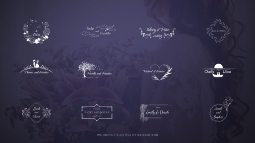 Videohive - 24 Wedding Titles | MOGRt - 38712714 - 38712714