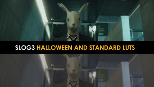 Videohive - Slog3 Halloween And Standard LUTs for Final Cut - 39917270 - 39917270