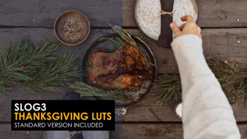 Videohive - Slog3 Thanksgiving And Standard LUTs for Final Cut - 39917154 - 39917154