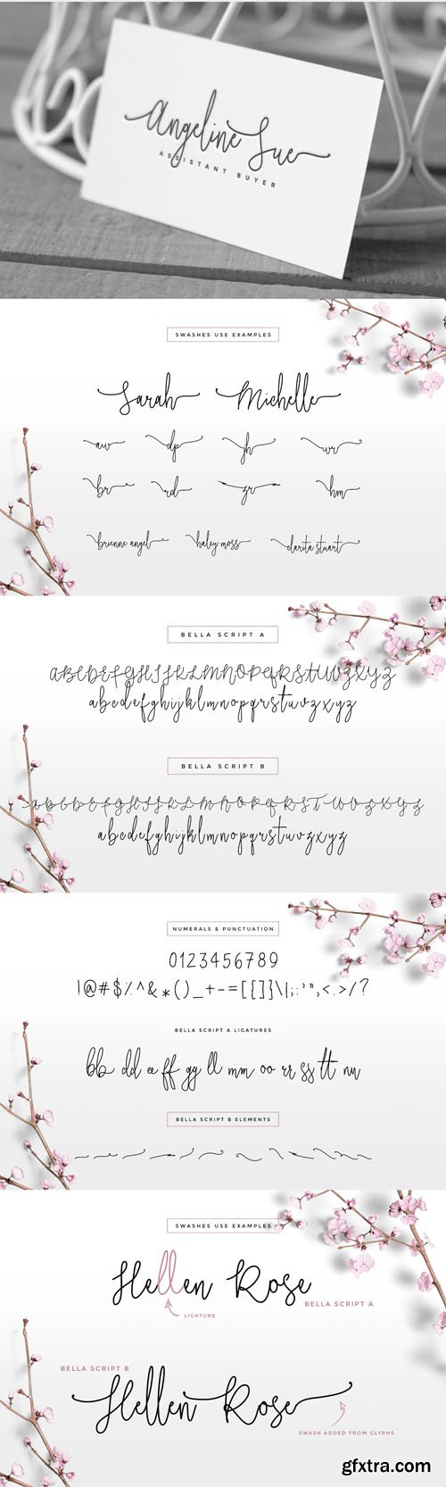 Bella - Script Signature Font