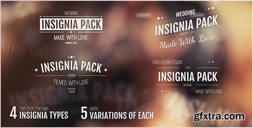Videohive 20in1 Intro Insignias Pack 6587844
