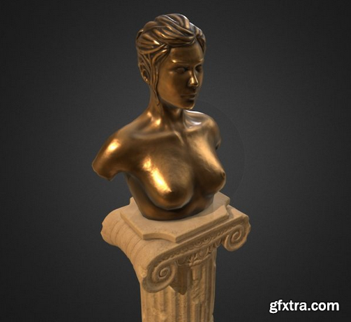 Female Bust 3D Model