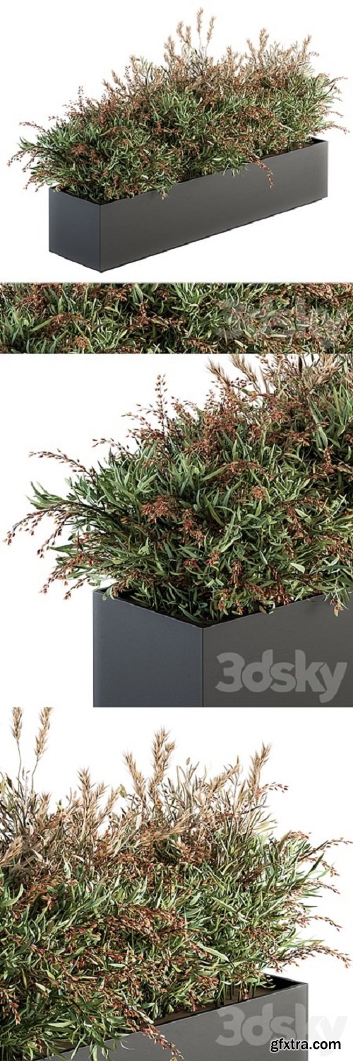 Outdoor Plant Set 166 – Plant Box Bush