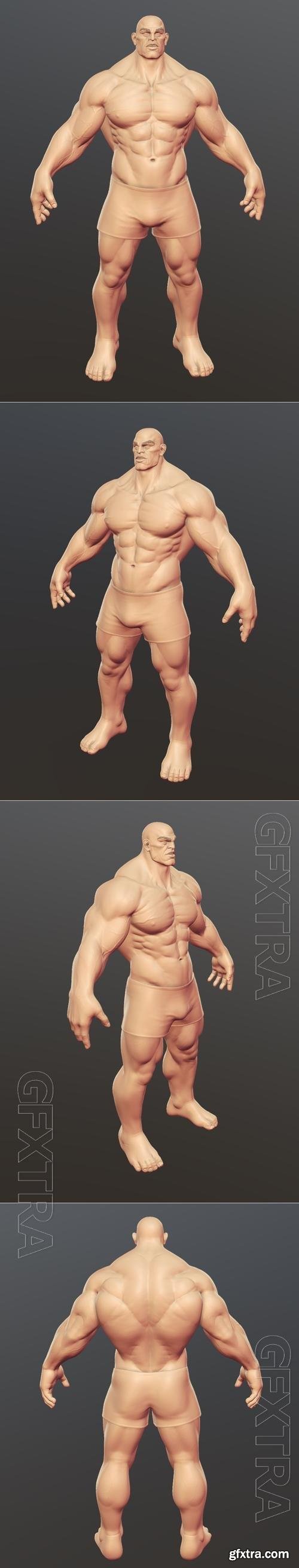 Muscular Man Basemesh 3D Print