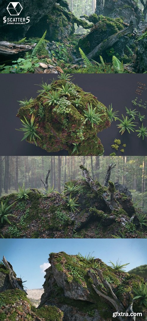 Blender Market - Moss Biome Ground Scatter - 3d Assetkit Pbr