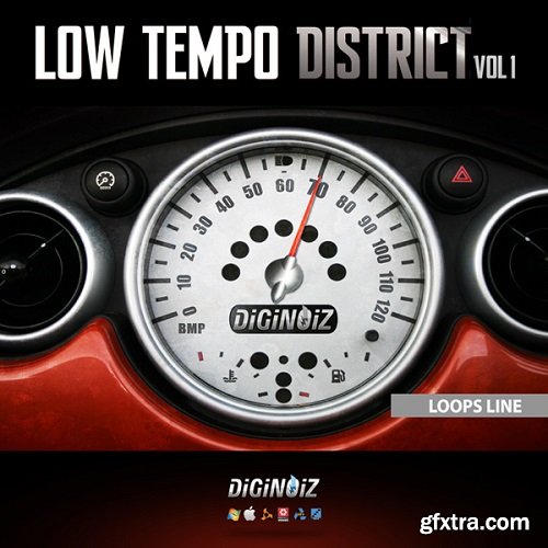 Diginoiz Low Tempo District ACiD WAV 24BiT-ARCADiA