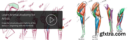 Animal Forelimb Skeleton and Construction with Joe Weatherly