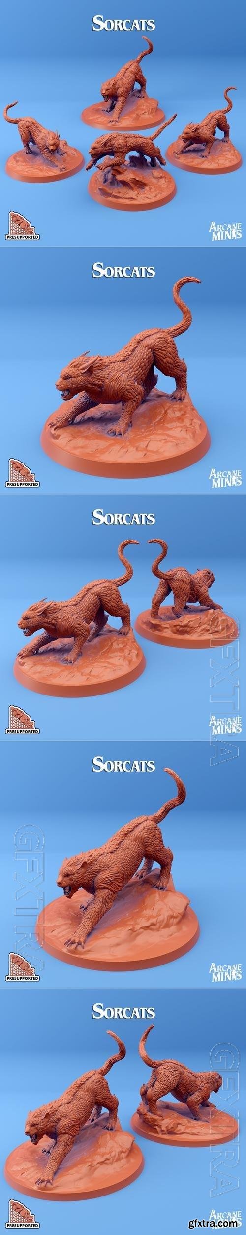 Arcane Minis - Sorcats 3D Print