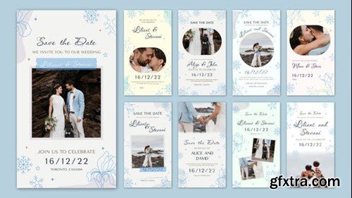 Videohive Wedding Invitation Instagram Stories 40315769