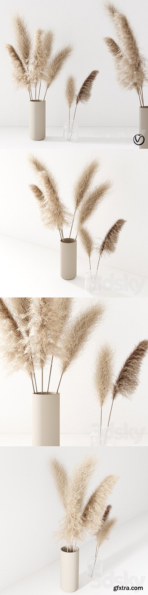 Set of pampas in vase