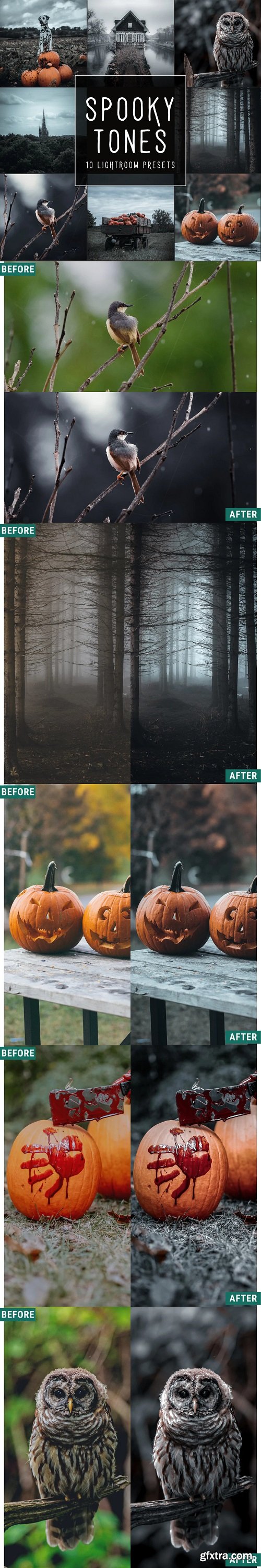 Woodland - Spooky Tones LIMITED Lightroom Presets Pack