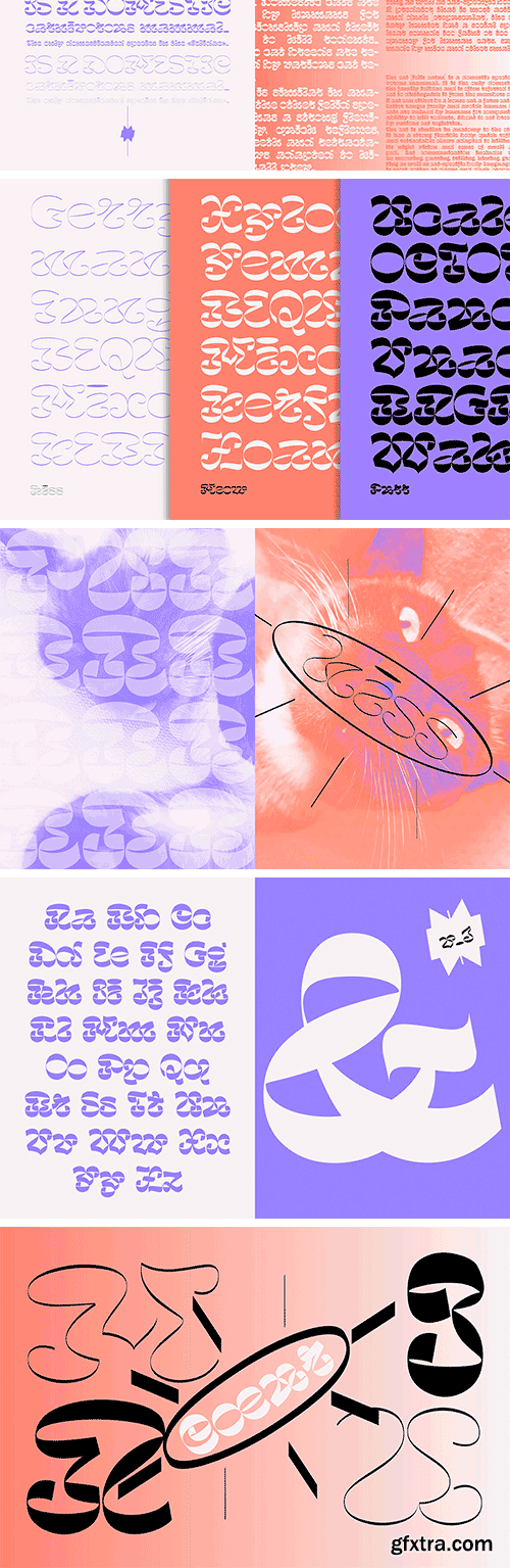 Miau Font Family