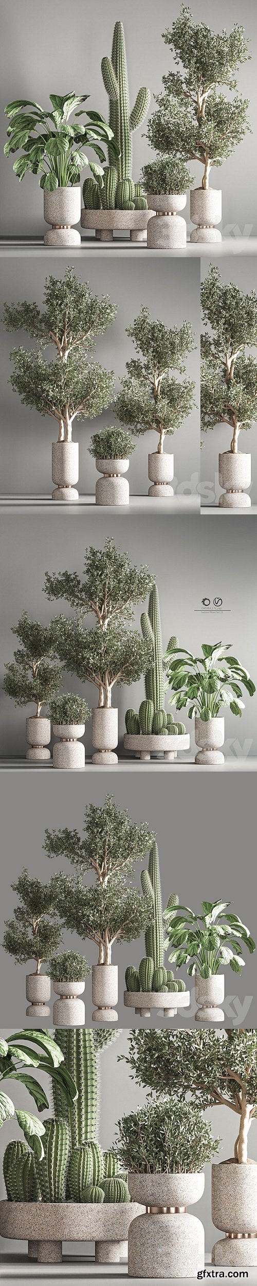 indoor plant set 26