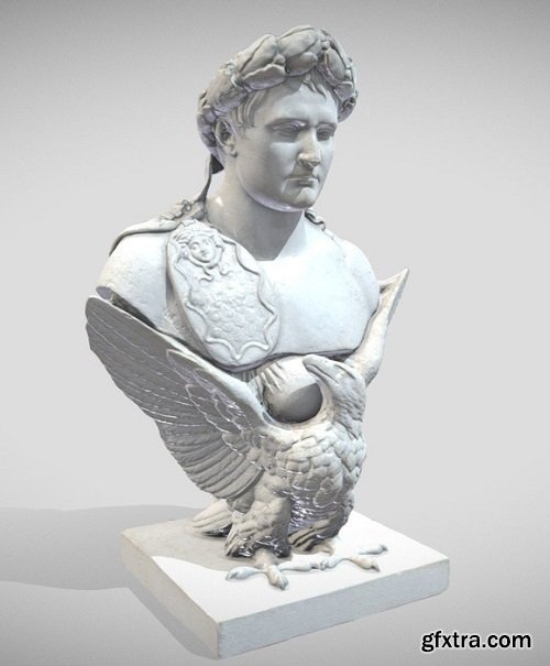 Napoleon Bust