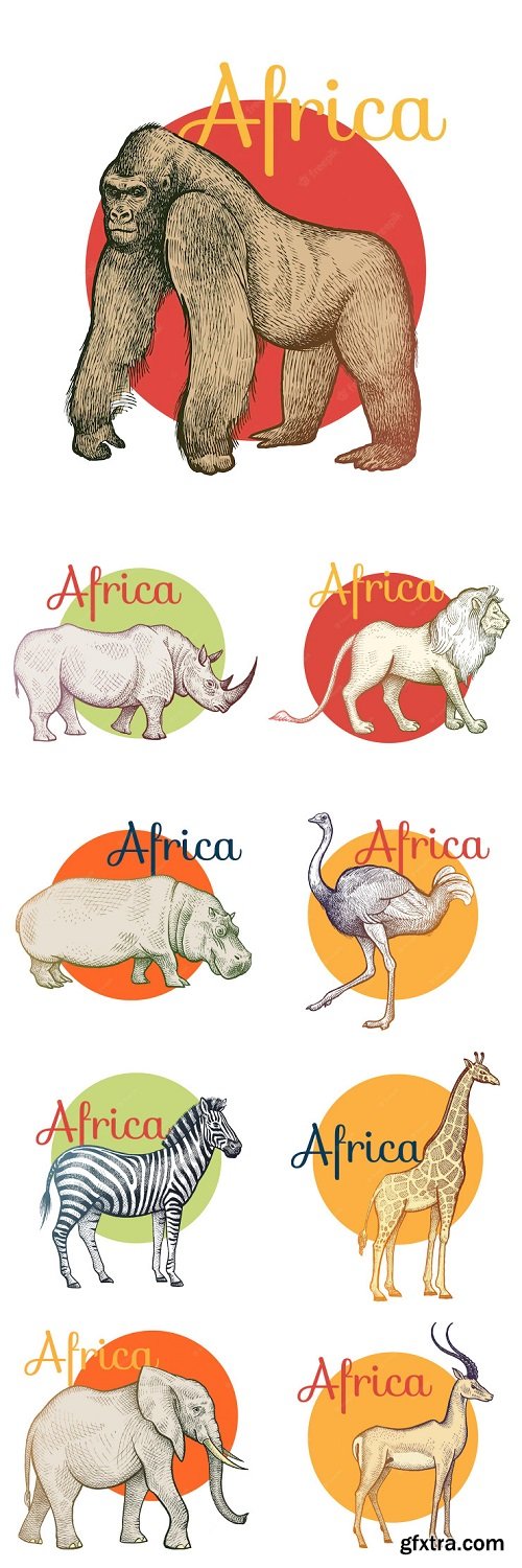 African animal vector illustration