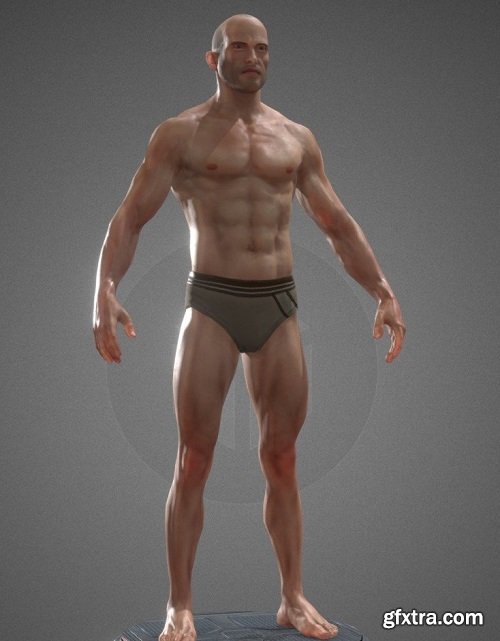 Male Anatomy 3d model