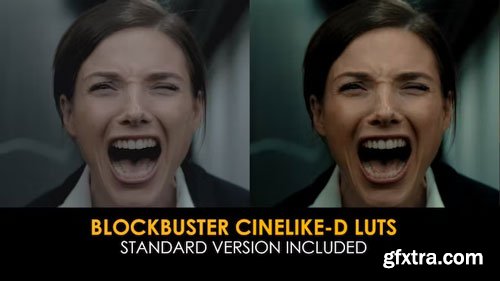 MotionArray - Blockbuster Cinelike-D And Standard Luts - 1020618