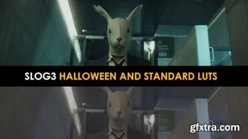 MotionArray - Slog3 Halloween And Standard Luts - 1040976