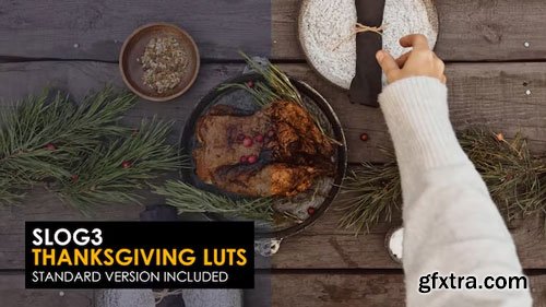 MotionArray - Slog3 Thanksgiving And Standard Luts - 1046939