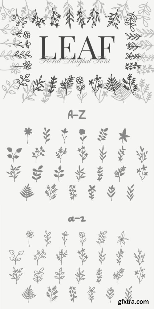 Leaf - Delicate Floral Font