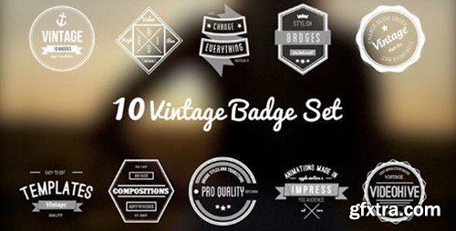 Videohive Animated Vintage Badges 6724822