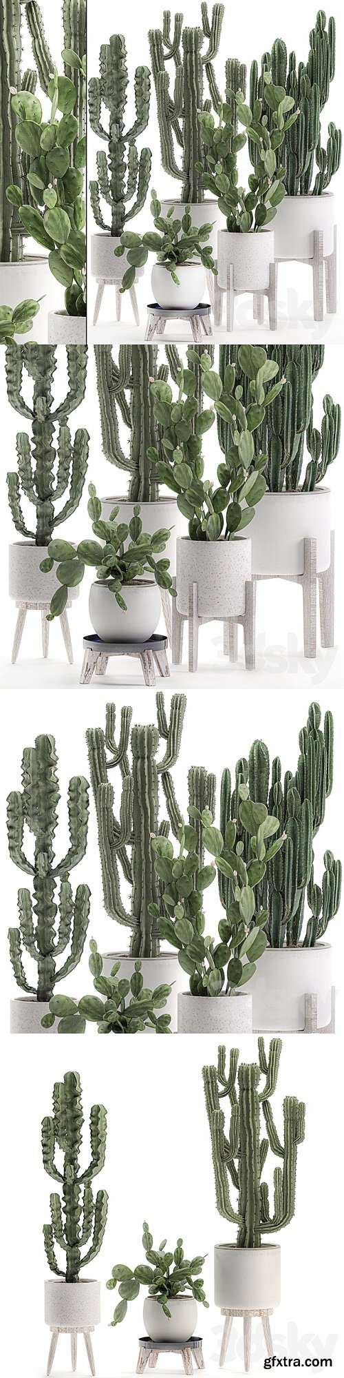 Plant Collection cactus 571. Prickly Pear, Cereus, Carnegia, Euphorbia, Potted Cacti, Flowerpot, Nordic Style, Desert Plants, Prickly pear