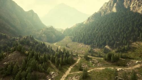 Videohive - Winding Road in the Mountains with Pine Forest - 40516679 - 40516679