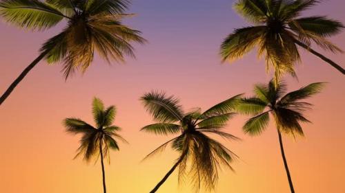 Videohive - Travel trip to the tropics with palm trees and vacation at sea at sunset. - 40476034 - 40476034