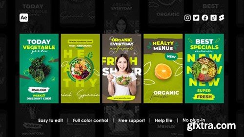 Videohive Healthy Food Stories 40729305