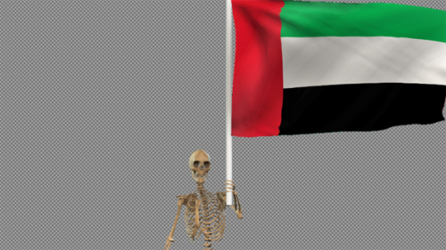 Videohive - Skeleton Carry UAE Flag - 40685786 - 40685786