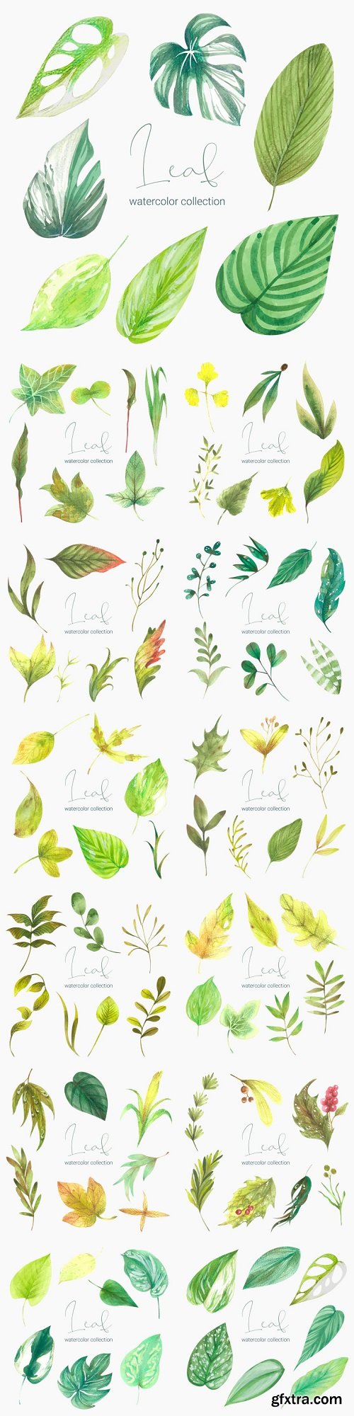 Collection of greenery leaf plant forest herbs tropical leaves