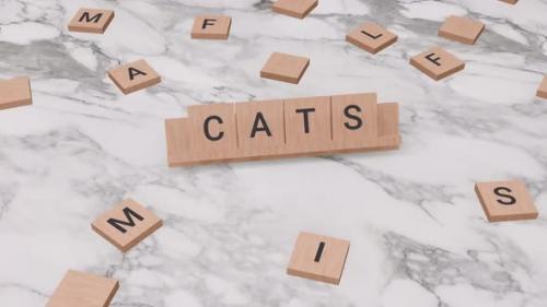 Videohive - Cats word on scrabble - 40709280 - 40709280