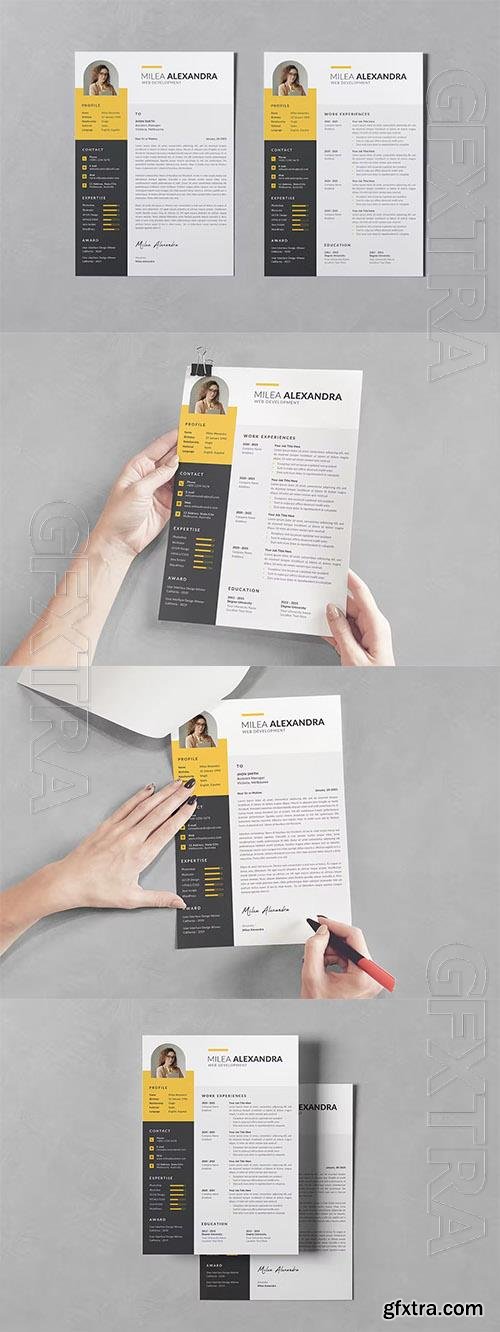 Resume CV PSD