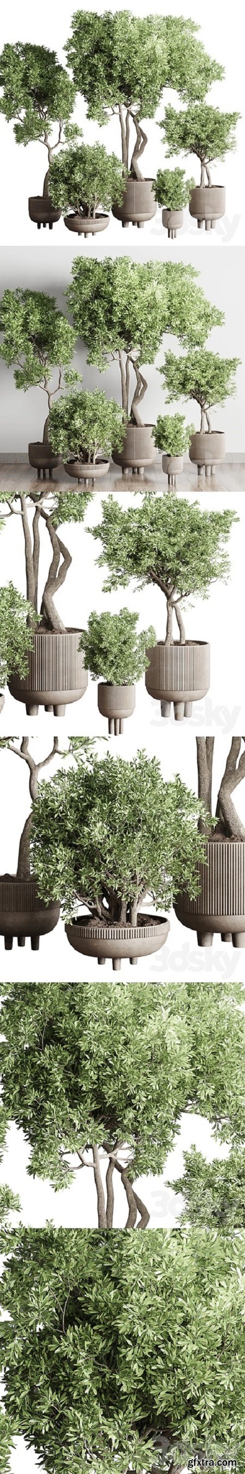 Collection Indoor Outdoor plant 118 vase concrete pot tree corona