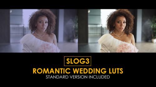 Videohive - Slog3 Romantic Wedding and Standard LUTs - 40754935 - 40754935