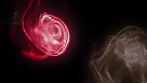 Videohive - Red Color Smoke Effect in black Background - 40399623 - 40399623