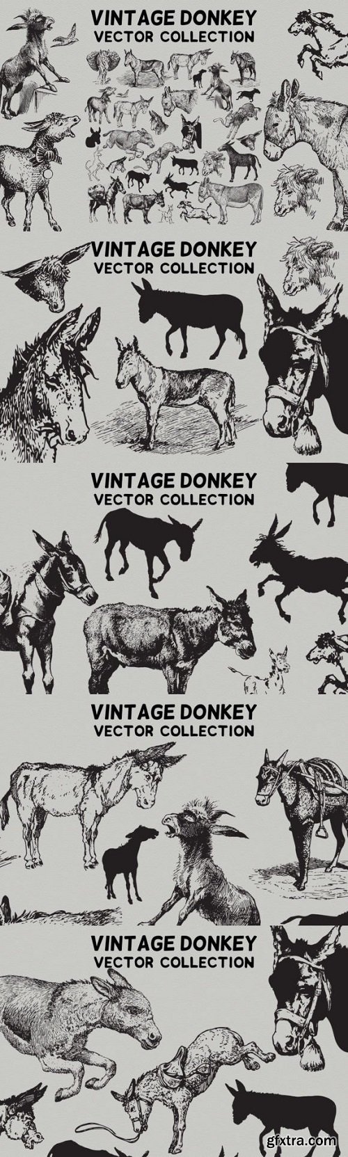 Vintage Donkey Vector Collection