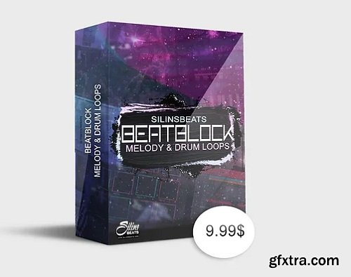 Silinsbeats Beat Block Loop Kit WAV-FANTASTiC