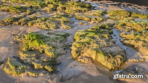 Mossy beach rocks patch scan