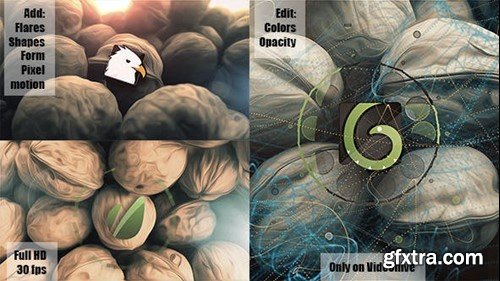 Videohive Stop Motion Nuts 6546964