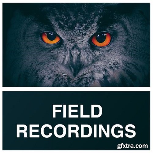 Whitenoise Records Field Recordings WAV-RYZEN