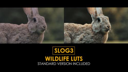 Videohive - Slog3 Wildlife and Standard LUTs - 40915682 - 40915682