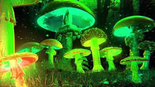 Videohive - Psychedelic Mashroom Jungle Bad Trip II - 41025260 - 41025260